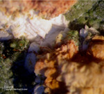 Griechenland Lavrion Mineralien Hilarion Dolomit