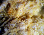 Griechenland Lavrion Mineralien Hilarion Dolomit