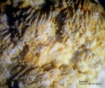 Griechenland Lavrion Mineralien Hilarion Dolomit