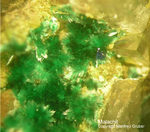 Griechenland Mineralien Lavrion Jean Baptiste Malachit