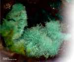 Griechenland Mineralien Lavrion Jean Baptiste Malachit