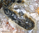 Odenwald Mineralien Reichenbach Borstein Achat