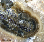 Odenwald Mineralien Reichenbach Borstein Achat