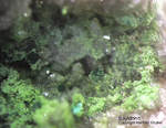 Odenwald Mineralien Reichenbach Borstein Bayldonit