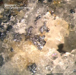 Odenwald Mineralien Reichenbach Borstein Bleiglanz Galenit