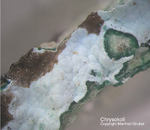 Odenwald Mineralien Reichenbach Borstein Chrysokoll