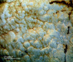 Odenwald Mineralien Reichenbach Borstein Chrysokoll
