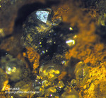 Griechenland Lavrion Mineralien Hilarion Cerussit