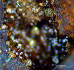 Griechenland Lavrion Mineralien Hilarion Chlorargyrit