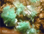Griechenland Lavrion Mineralien Exi Malachit