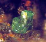 Eifel Mineralien Bellerberg Xenotim-(Y)