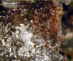Hemimorphit