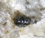 Eifel Mineralien Bellerberg Bixbyit