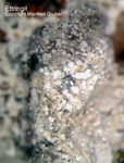 Eifel Mineralien Kall Ettringit
