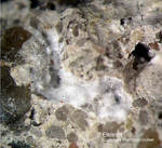 Eifel Mineralien Kall Ettringit
