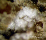 Eifel Mineralien Kall Ettringit