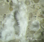 Eifel Mineralien Kall Ettringit