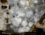 Eifel Mineralien Kall Ettringit