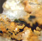 Eifel Mineralien Kesseling Olivenit
