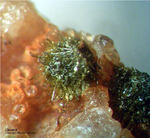 Eifel Mineralien Kesseling Olivenit