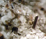 Eifel Mineralien Liley Löhley Pseudobrookit