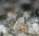 Eifel Mineralien Liley Löhley Pyroxen