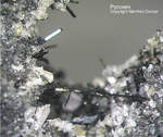 Eifel Mineralien Liley Löhley Pyroxen