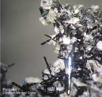 Eifel Mineralien Liley Löhley Pyroxen