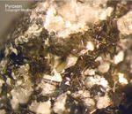 Eifel Mineralien Liley Löhley Pyroxen