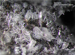 Eifel Mineralien Liley Löhley Sanidin