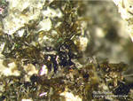 Eifel Mineralien Liley Schorlomit