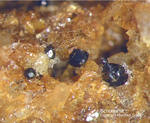 Eifel Mineralien Liley Schorlomit