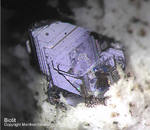 Eifel Mineralien Mendig Biotit