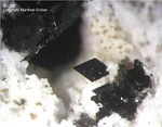 Eifel Mineralien Mendig Biotit