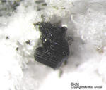 Eifel Mineralien Mendig Biotit