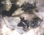 Eifel Mineralien Mendig Biotit