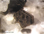 Eifel Mineralien Mendig Biotit