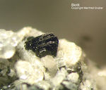Eifel Mineralien Mendig Biotit