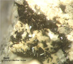 Eifel Mineralien Mendig Biotit