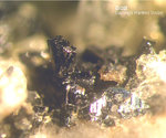 Eifel Mineralien Mendig Biotit