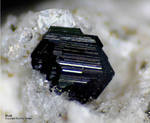 Eifel Mineralien Mendig Biotit