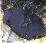 Eifel Mineralien Mendig Biotit