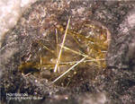 Eifel Mineralien Emmelberg Hornblende