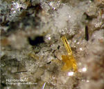 Eifel Mineralien Emmelberg Hornblende
