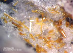 Eifel Mineralien Emmelberg Hornblende