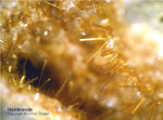 Eifel Mineralien Emmelberg Hornblende