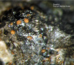 Eifel Mineralien Mendig Goethit
