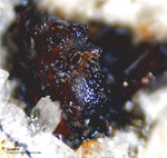 Eifel Mineralien Mendig Goethit