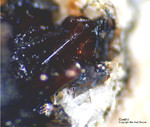 Eifel Mineralien Mendig Goethit