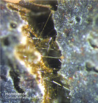 Eifel Mineralien Nickenicher Sattel Hornblende